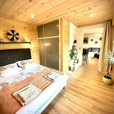 Apartment Au Coeur De Avec Terrasse Privee